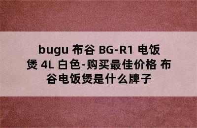 bugu 布谷 BG-R1 电饭煲 4L 白色-购买最佳价格 布谷电饭煲是什么牌子